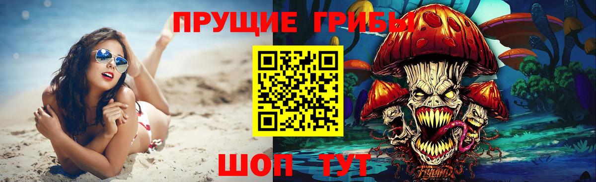 Псилоцибиновые грибы Cubensis Уварово
