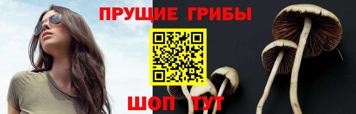 Уварово  Галлюциногенные грибы Magic Shrooms  Вход с VPN  Псилоцибиновые грибы Magic Shrooms 